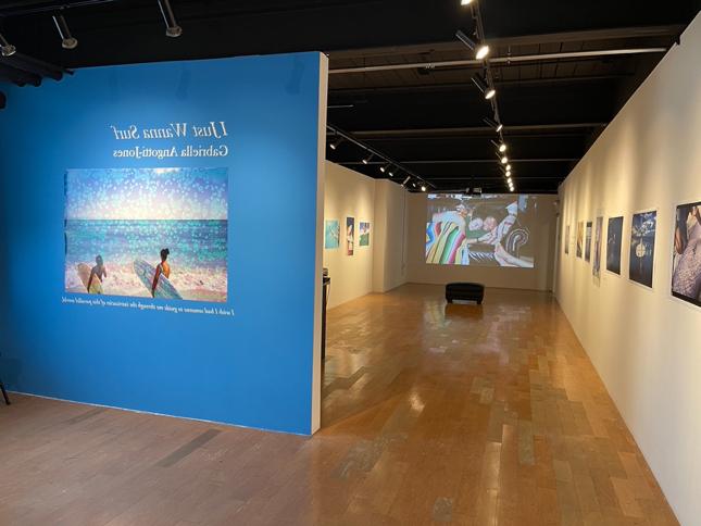 Gabriella Angotti-Jones Exhibit I Just Wanna Surf in the Carberry Gallery